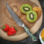 Masaru – 67-Layer Damascus Abalone Chef Knife Set