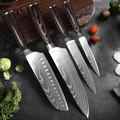 Takasu – Professional Japanese Chef Knife Set SteelSensei