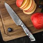 Masaru – 67-Layer Damascus Abalone Chef Knife Set