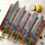 Takashi – Premium VG10 Damascus Kitchen Knife Set