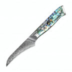 Masaru – 67-Layer Damascus Abalone Chef Knife Set